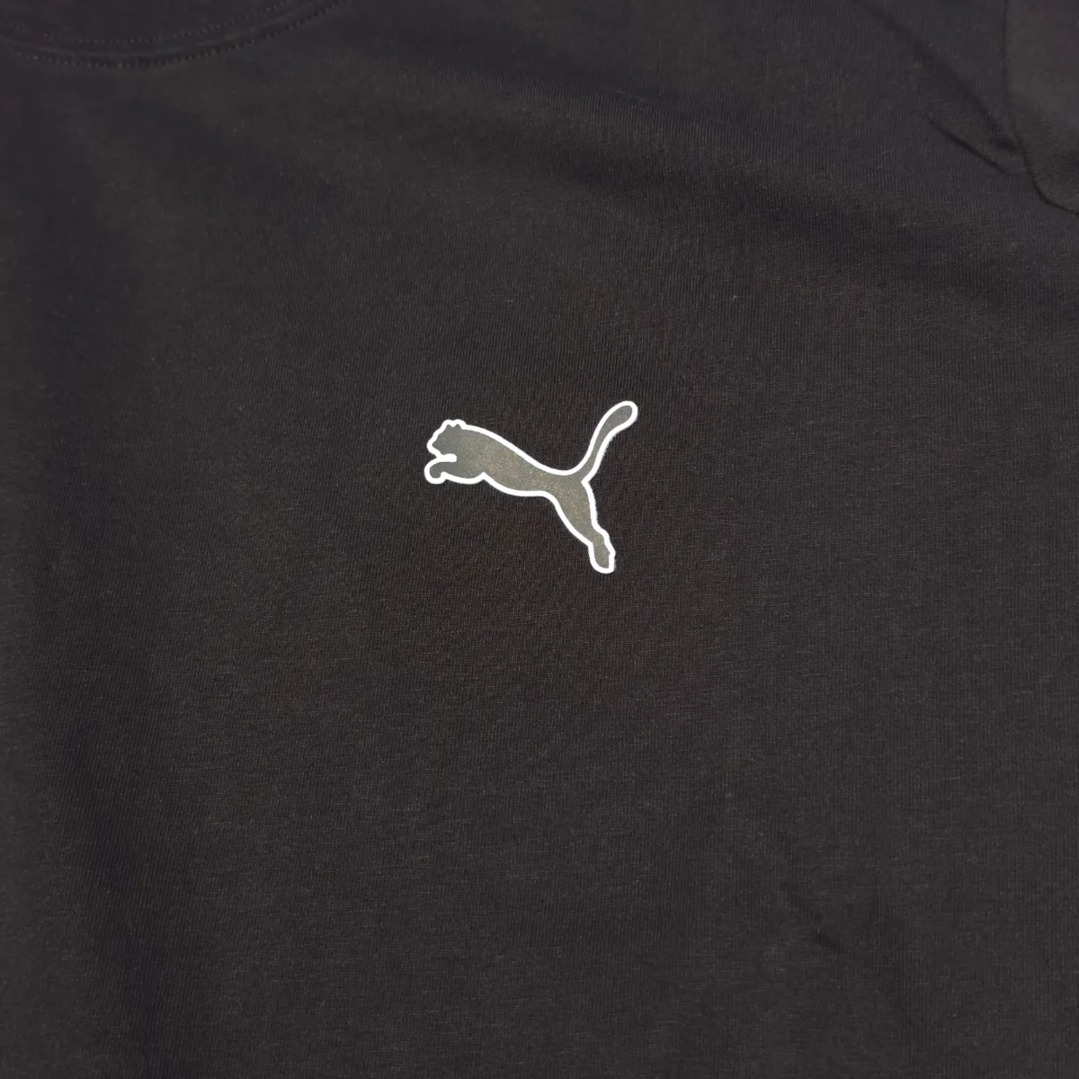 Puma Polera, foto 2