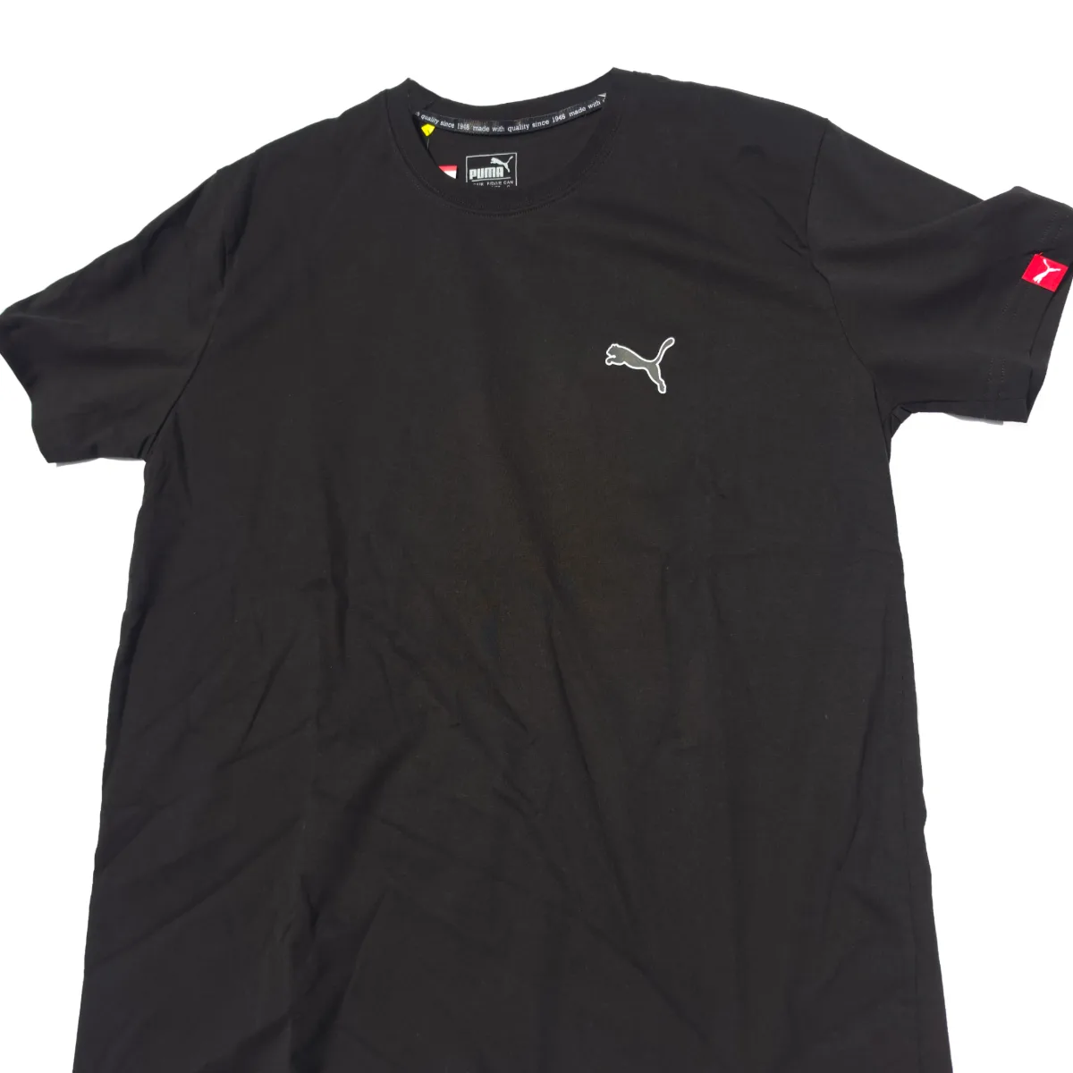 Puma Polera, foto 1