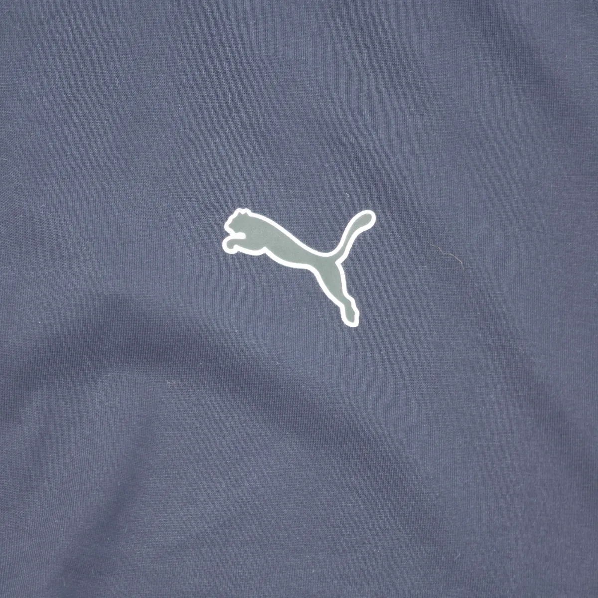 Puma Polera, foto 2