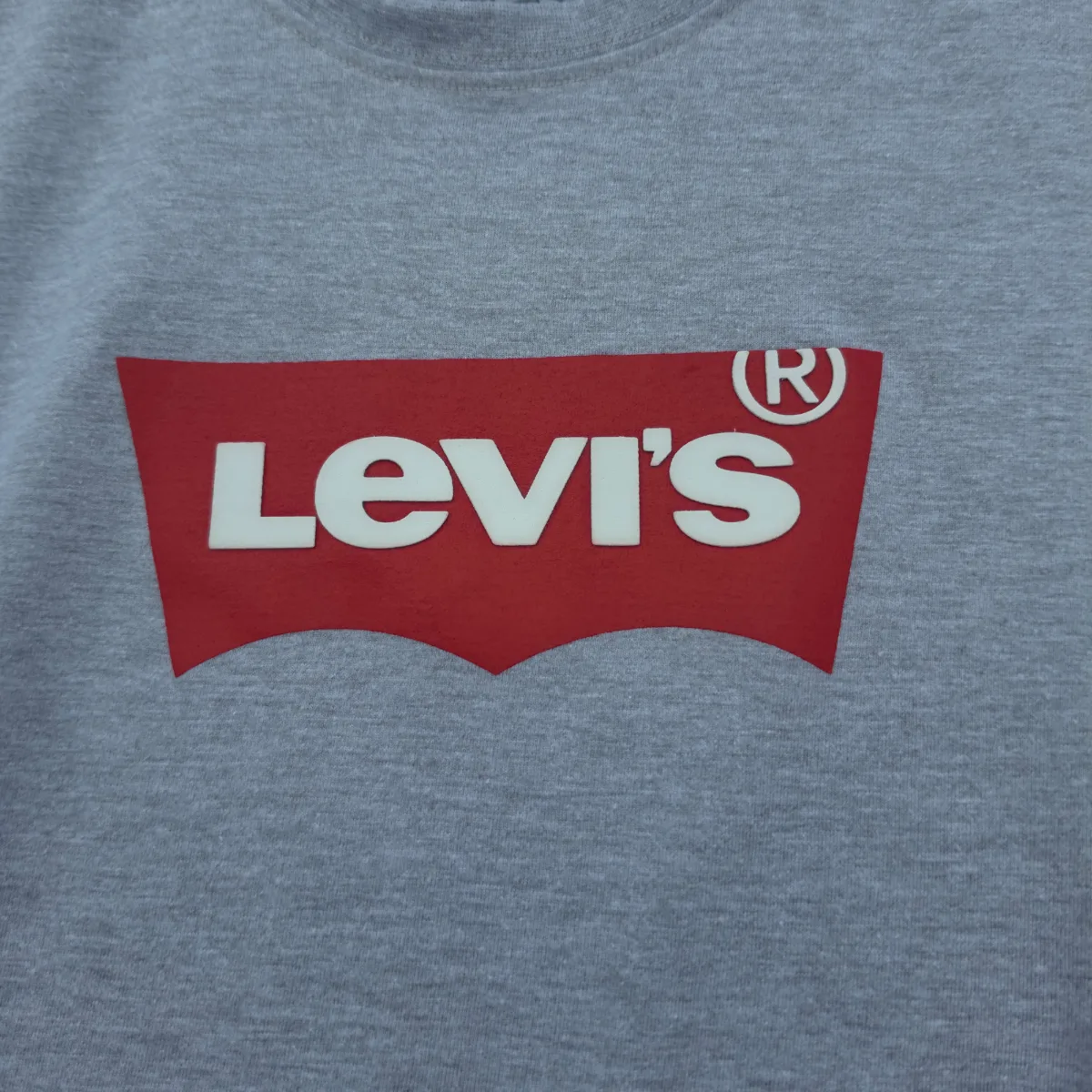 Levis Polera, foto 2