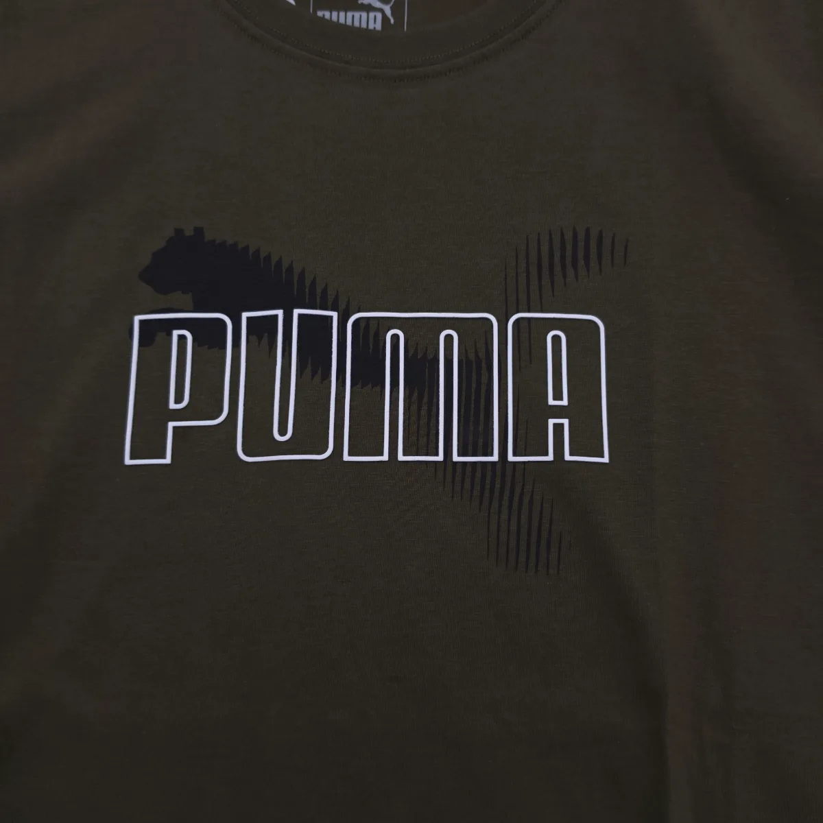 Puma Polera, foto 2