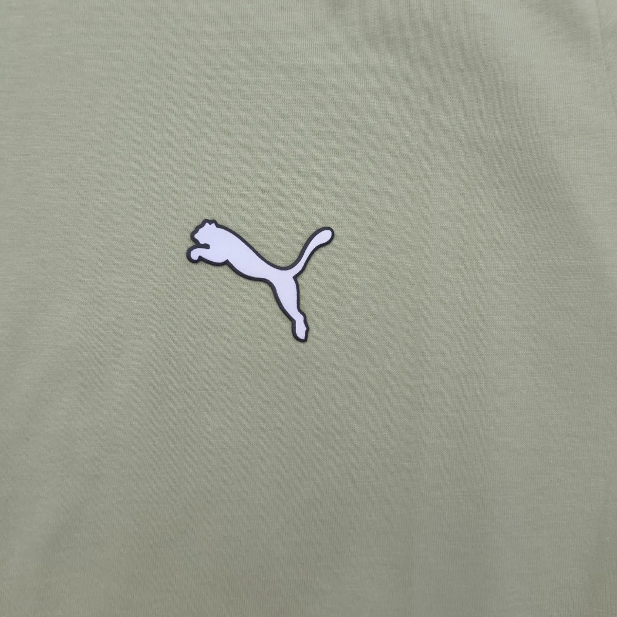 Puma Polera, foto 2